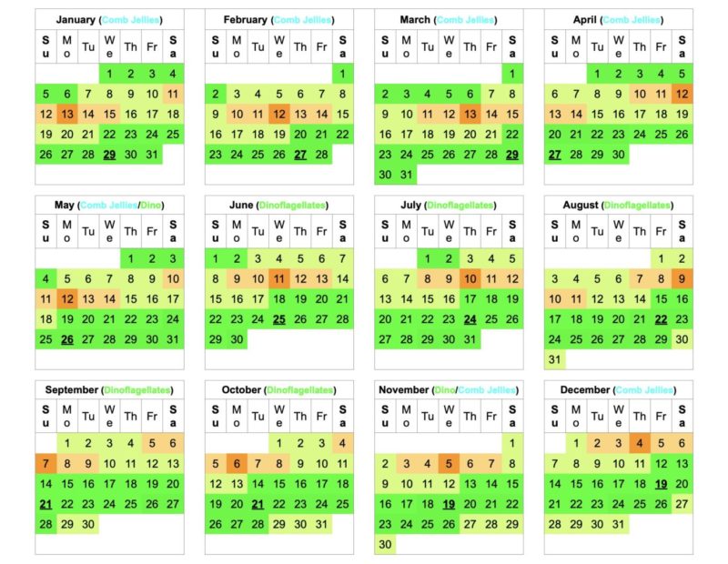 2025 Florida Bioluminescence Moon Calendar